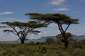 Tanzania0162