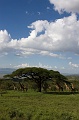Tanzania1232